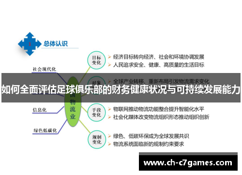 如何全面评估足球俱乐部的财务健康状况与可持续发展能力