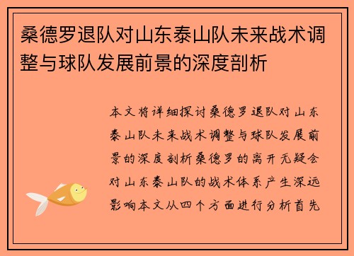 桑德罗退队对山东泰山队未来战术调整与球队发展前景的深度剖析