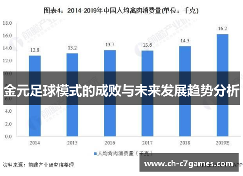 金元足球模式的成败与未来发展趋势分析